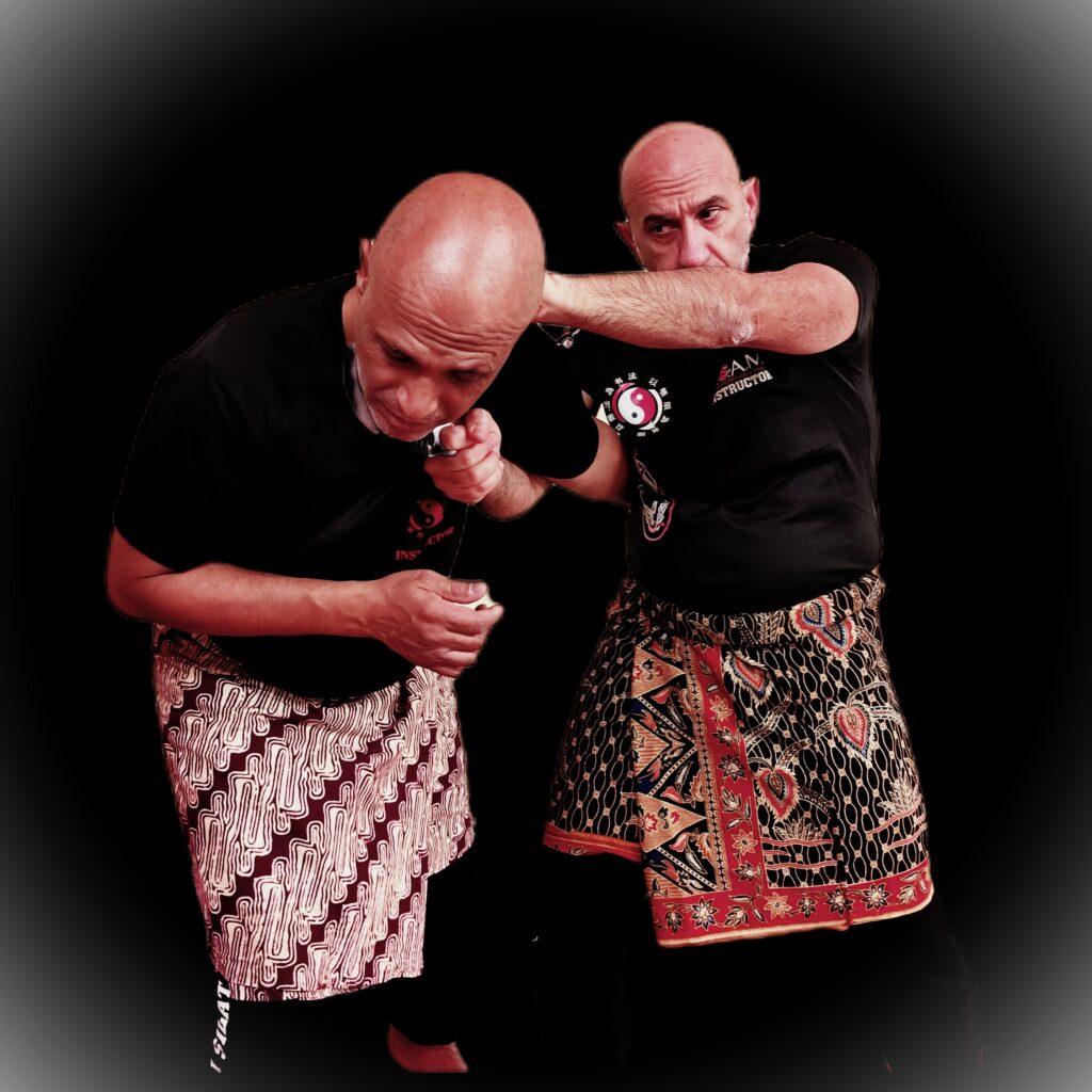 CSAM Academy | Silat